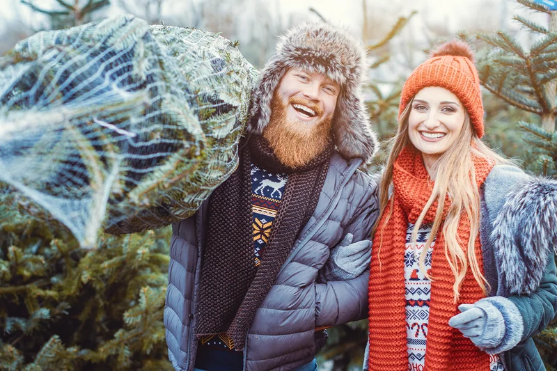 Weihnachtsbaum – ja oder nein?