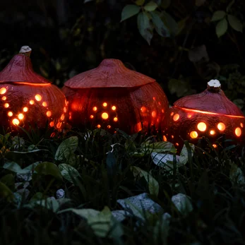 Angebohrte Kürbisse: Schöne Deko zu Halloween
