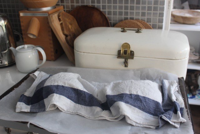 Zwei Sauerteige ruhen unter dem Geschirrhandtuch