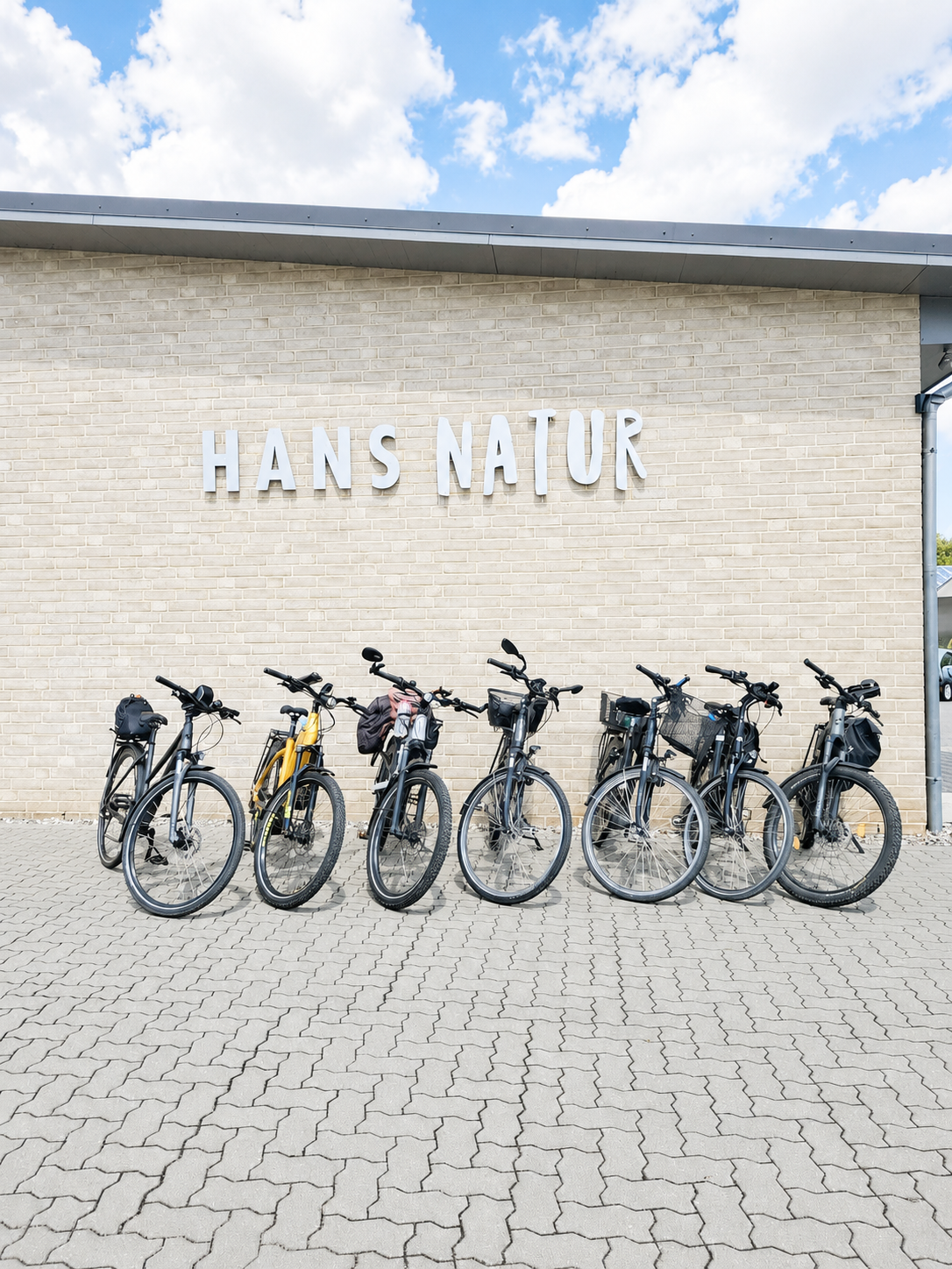 Stadtradel Fahrräder vor HANS NATUR
