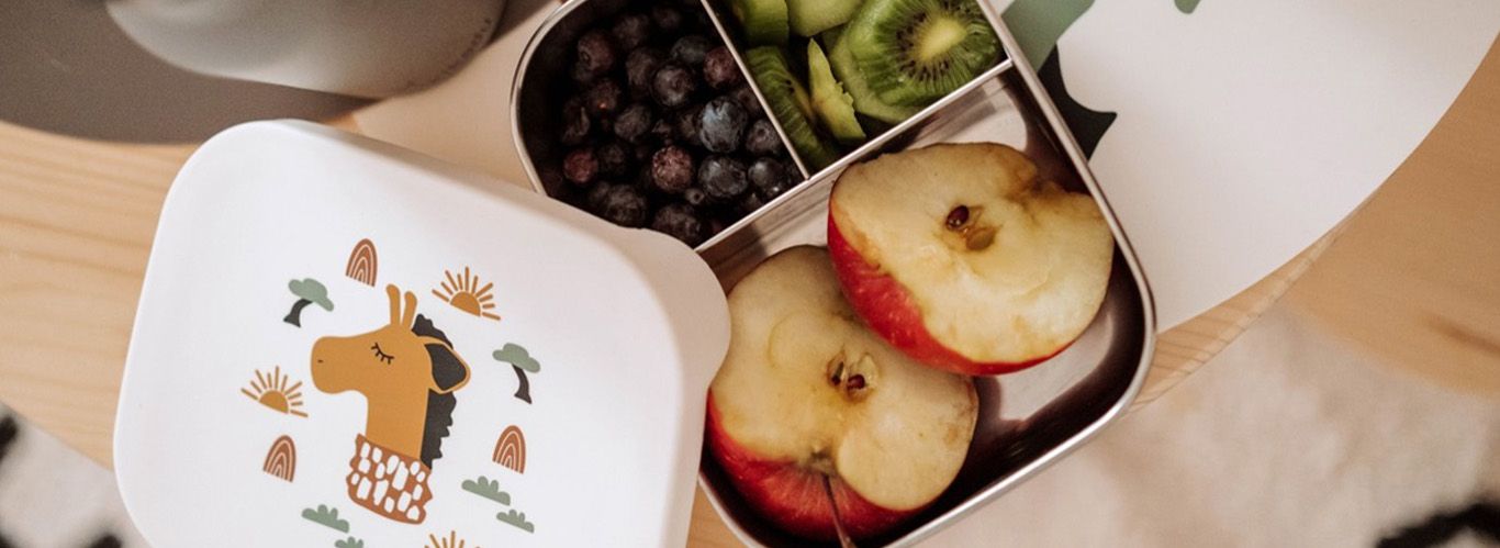 Brotdose aus Edelstahl mit einer kleinen Trennwand, die Äpfel, Kiwis und Trauben voneinander trennt.