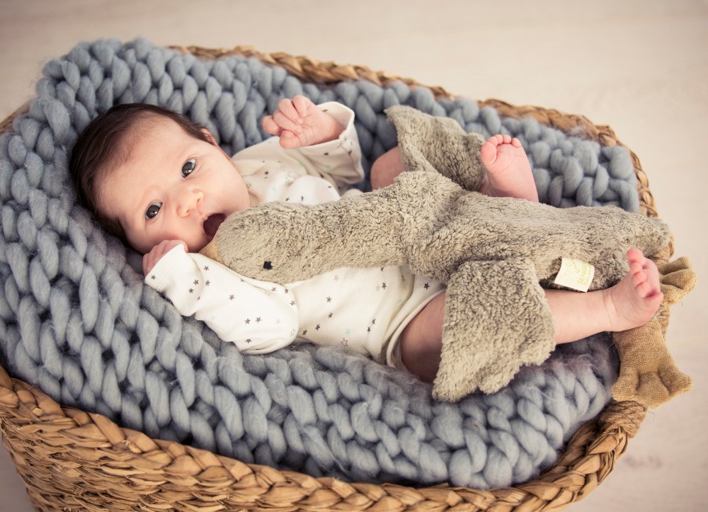 Baby im Korb mit Kuscheltier