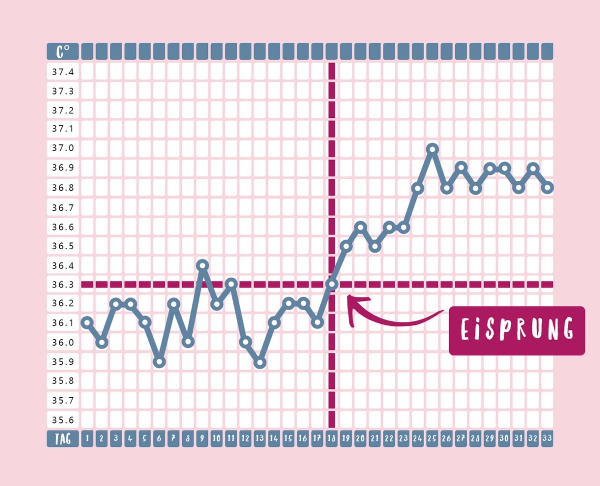 Eisprung Kalender mit eingetragenen Werten und einer Markierung des Eisprungs an der signifikanten Quelle.