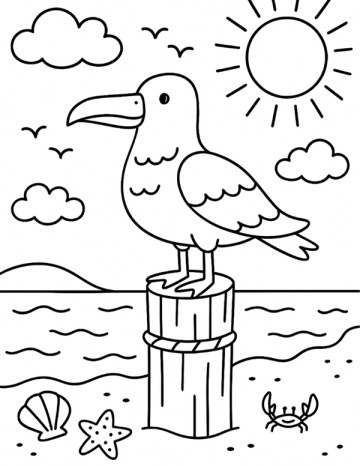 Möwe Ausmalbild