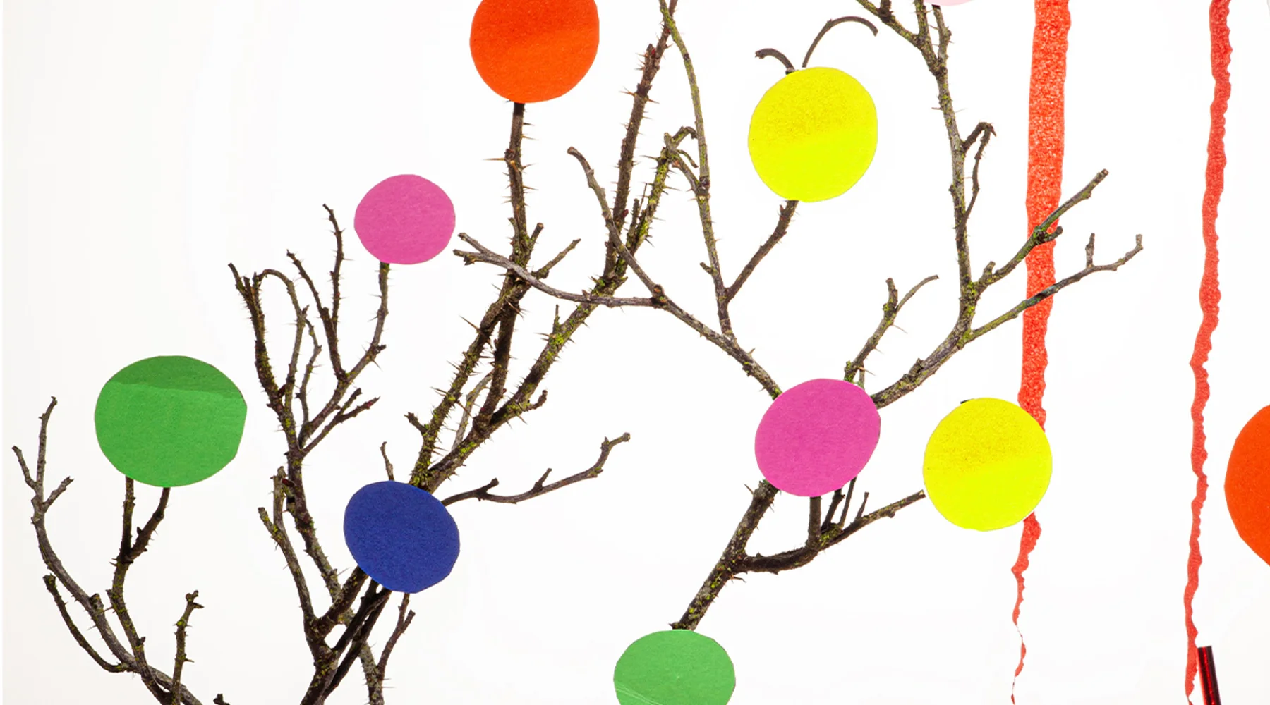 KARNEVAL & GEBURTSTAG