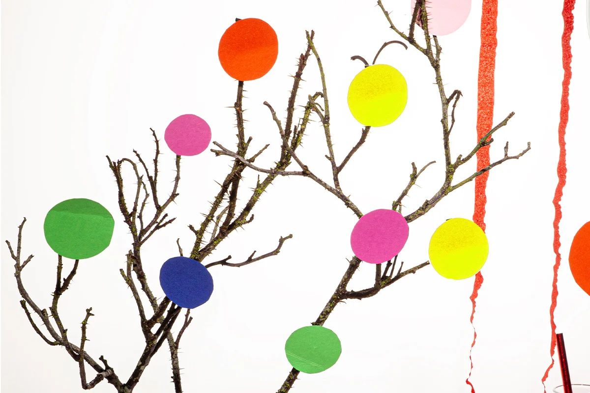 KARNEVAL & GEBURTSTAG