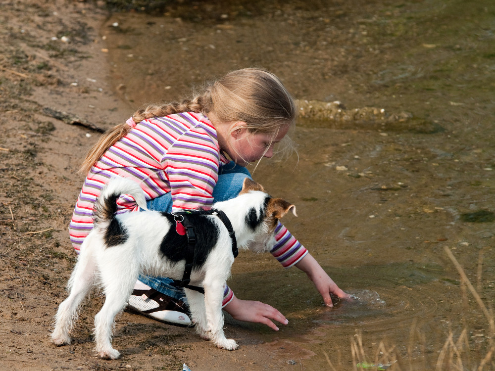 Mädchen spielt mit Hund am Wasser