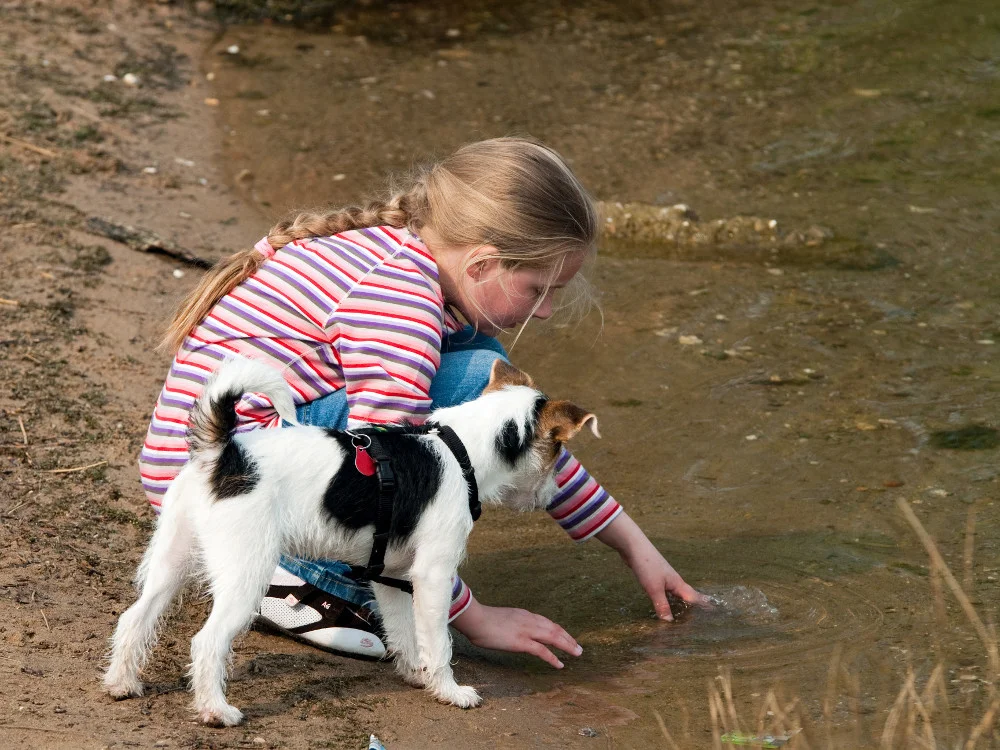Mädchen spielt mit Hund am Wasser