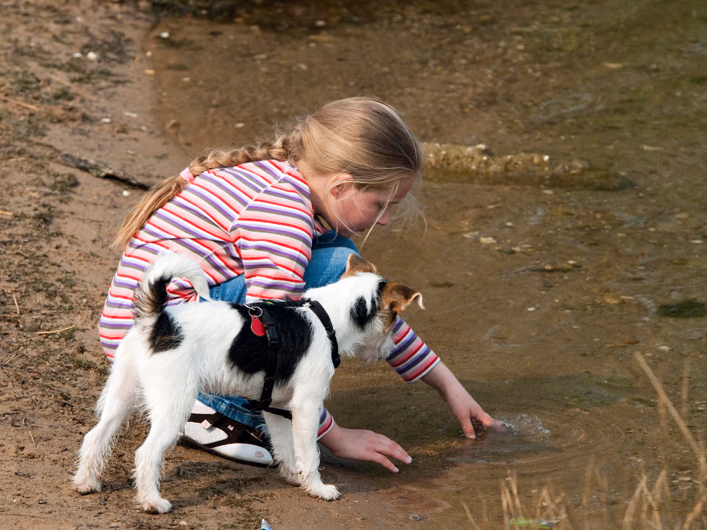 Mädchen spielt mit Hund am Wasser