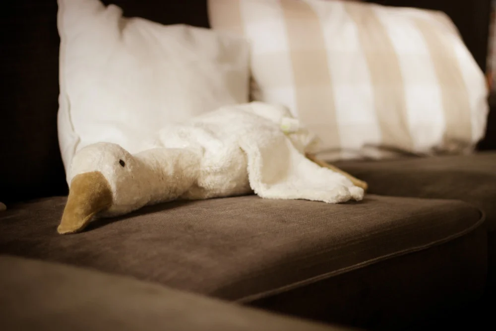 Kuscheltier Gans auf dem Sofa