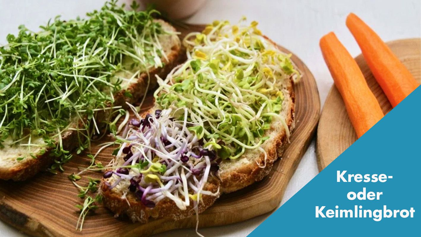Brotscheiben mit Kressebelag