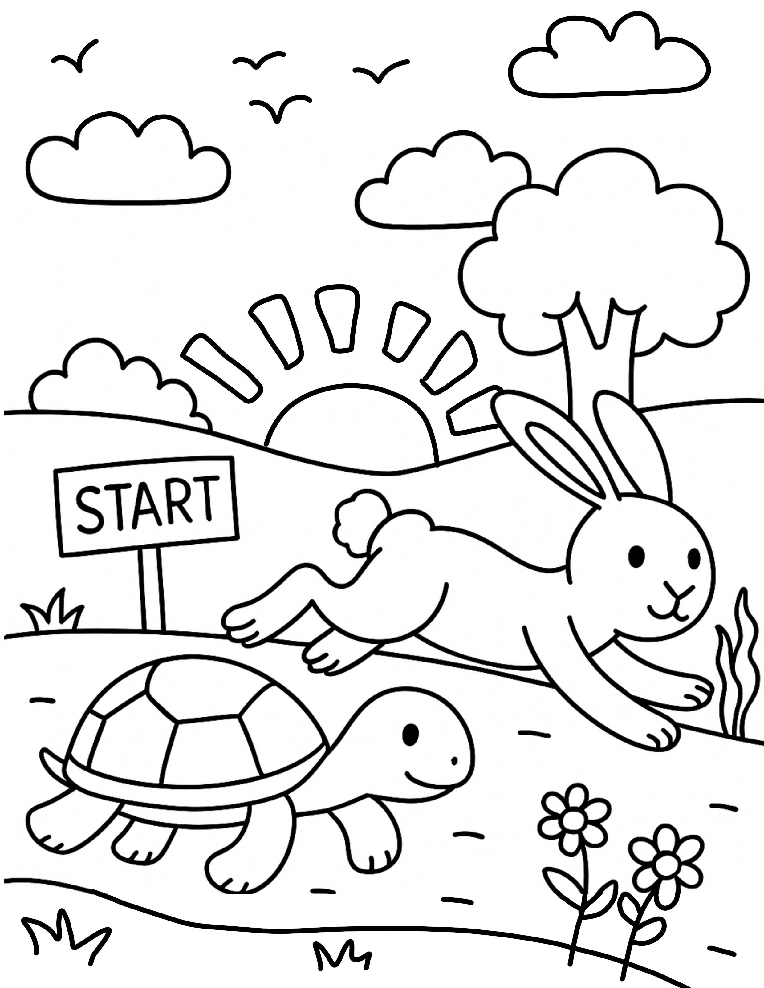 Hase & Schildkröte Ausmalbild