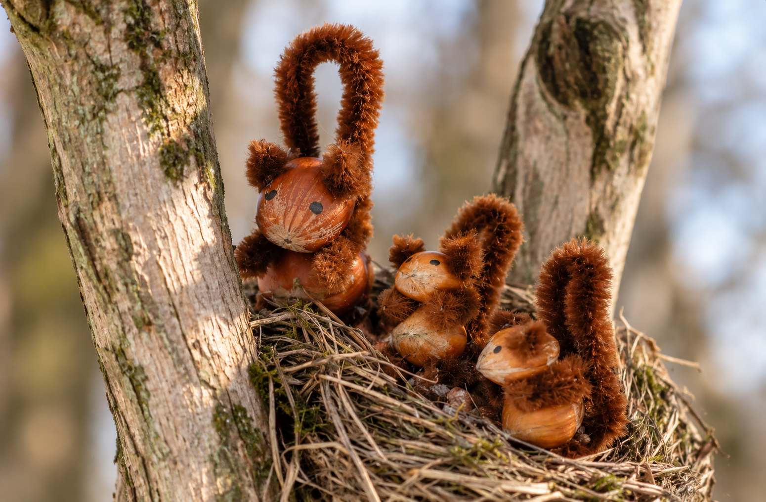 Eichhörnchen aus Haselnüssen basteln