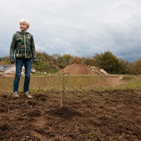 2019 Junge steht im Obstgarten