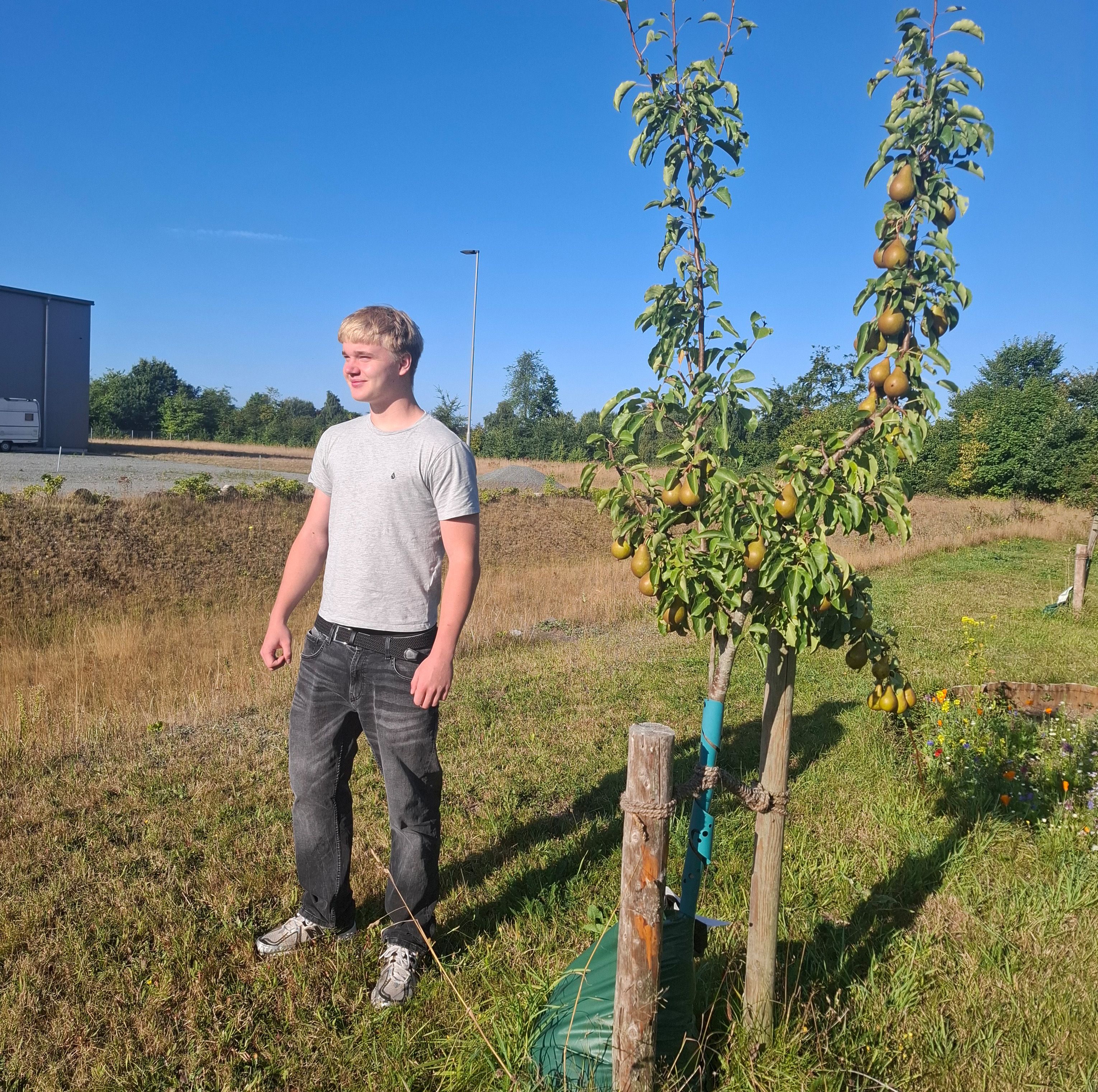 2026 Junge steht im Obstgarten 