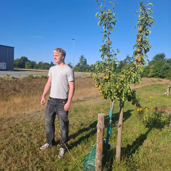 2026 Junge steht im Obstgarten