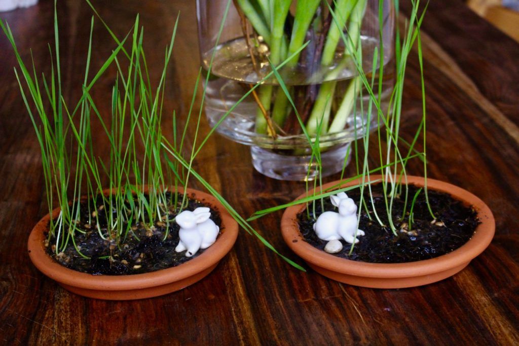 Osterdeko mit Ostergras und Häschen