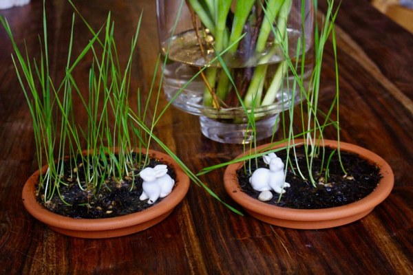 Osterdeko mit Ostergras und Häschen