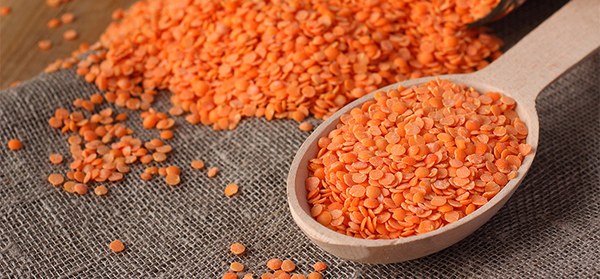 Rote Linsen auf einem Holzlöffel